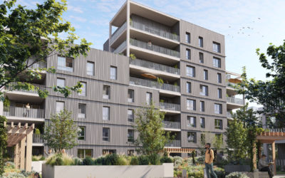 vue d'illustration 3d d'un bâtiment en bardage bois avec un espace végétal au premier plan