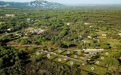 plan 3D en axonométrie d'un futur ensemble de terrains à construire, séparés par des haies, intégré dans un environnement de pins et montagnes au loin