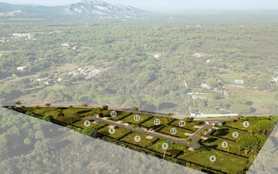 plan 3D en axonométrie d'un futur ensemble de terrains à construire, séparés par des haies, intégré dans un environnement de pins et montagnes au loin